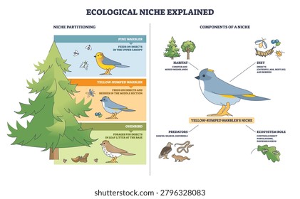 Ecological niche explained outline shows niche partitioning in a conifer tree, with birds, insects, and predators mapping diet and habitat interactions. Outline diagram