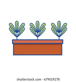 ecological plants with leaves inside flowerpot
