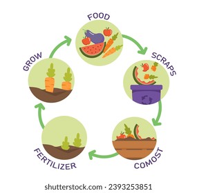 Concepto de proceso ecológico. Material educativo e infografía. Alimentos, raspones, compost, fertilizantes y escalones de cultivo. Dibujo vectorial plano de dibujos animados aislado en fondo blanco