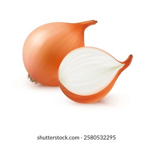 Ecological product for cooking, isolated realistic onion. Vector ingredient for preparing meal. Tasty food whole and sliced pieces. Delicious grocery from shop, organic natural diet nutrition