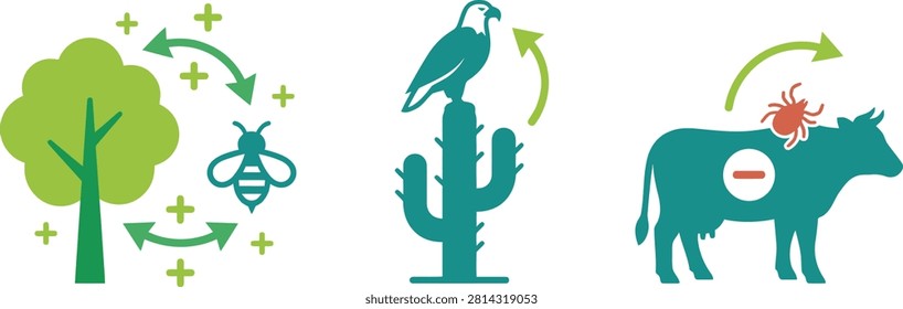 Ecological relationships and animal interactions infographic with food chain animal behavior symbiosis parasite pollination interaction ecosystem relationship mutualism commensalism wildlife