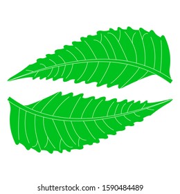 The ecological sphere logo is formed by green leaves. Vector design template elements for logos and organic templates.