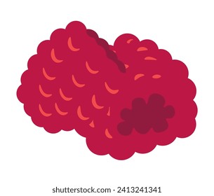 Ecologically clean farm raspberry. Natural organic product for desserts, juices, and jams. Fresh, high quality berries gourmets for vegans. Vitamin fruit diet for health. Vector in flat style
