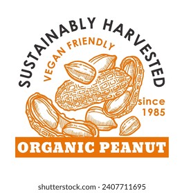 Ecologically clean, food grown without chemicals. Peanuts source of vegetable proteins, healthy fats, ingredient sweets, desserts. Promotional banner or product package sticker. Vector in flat style