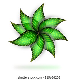 Ecology