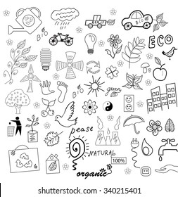 ecology 
