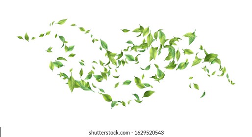 Ecology Abstract Background whith Green leaves