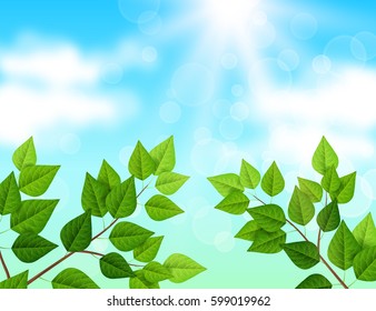 Ecology background with blue sky, branches, leaves and sun shine. Vector illustration. Green backdrop with fresh spring foliage, sunbeams and white clouds.