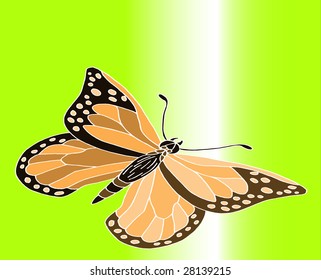 Ecology background butterfly fly