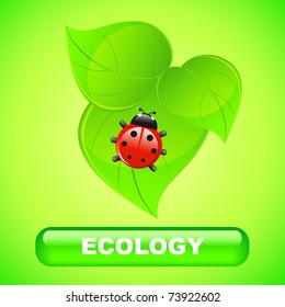 Ecology background - ladybug on green leaves