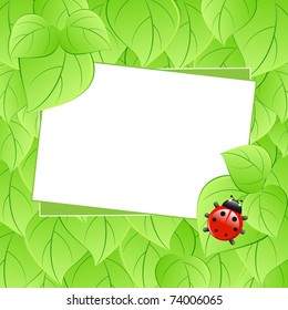 Ecology background - ladybug on green leaves