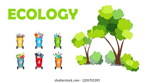 Ecology. Baskets for the separation of garbage. Waste separation. Vector illustration.
