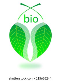 Ecology bio
