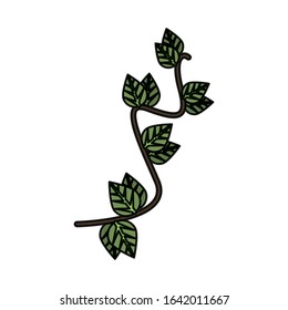 ecology branch with leafs plant vector illustration design
