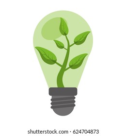 ecology bulb leaf nature