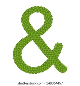 Ecology Concept, Fresh Green Four Leaf Clover Forming Ampersand Symbol Isolated on White Background 