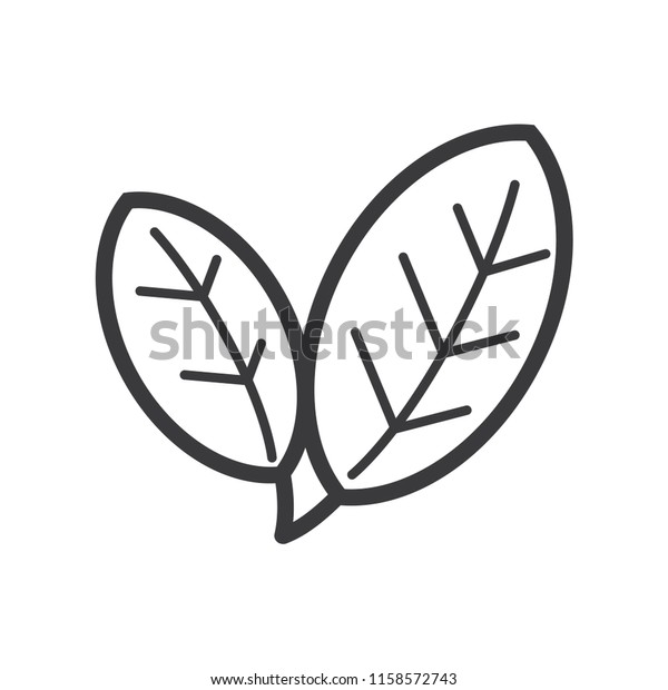 ecology\
concept with leaf line art icon vector\
template