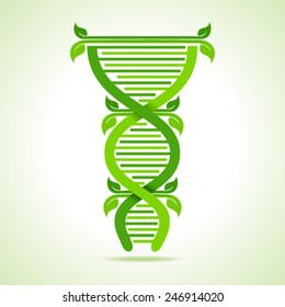 Ecology concept- leafs make a DNA strand stock vector 
