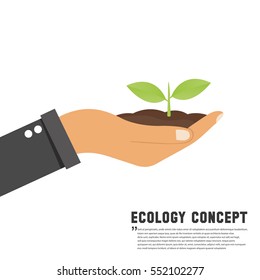 Ecology concept. Planting sapling