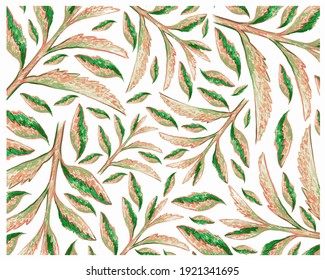 Ecology Concepts, Illustration Background of Beautiful Kalanchoe Tubiflora Succulent Plants for Garden Decoration. 
