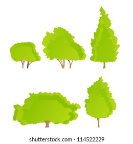 Ecology detailed forest tree illustration collection background vector