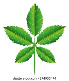 Ecology digital design, vector illustration eps 10.