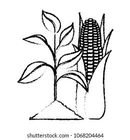 ecology energy alternative 