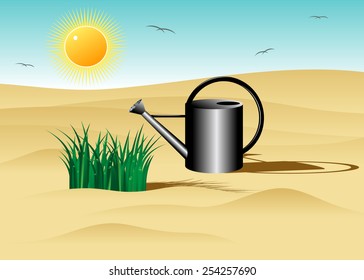  Ecology, a grass on dunes and a watering can 