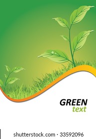 fondo verde ecológico