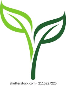 Ecology and green double leaf icon