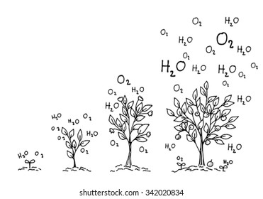 ecology green world concept.  hand drawing growing up tree on white backgrounds.  vector and illustrations.