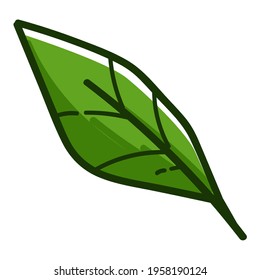 Ecology and greenery of botany, isolated icon of green leaf. Houseplant or gardening, branch or twig of bush, woods or forest. Herb and biodiversity of plants. Seasonal bloom. Vector in flat style