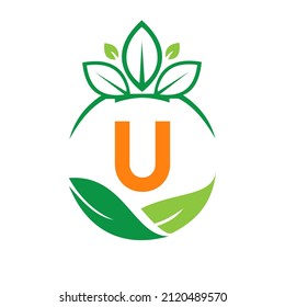 Ecology Health On Letter U Eco Organic Logo Fresh, Agriculture Farm Vegetables. Healthy Organic Eco Vegetarian Food U Logotype Design Vector template