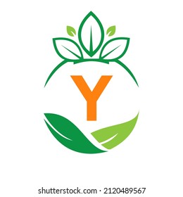 Ecology Health On Letter Y Eco Organic Logo Fresh, Agriculture Farm Vegetables. Healthy Organic Eco Vegetarian Food Y Logotype Design Vector template