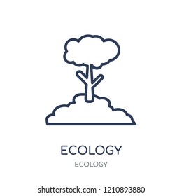 Ecology icon. Ecology linear symbol design from Ecology collection. Simple outline element vector illustration on white background.