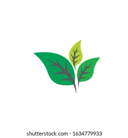Ecology icon vector design illustration