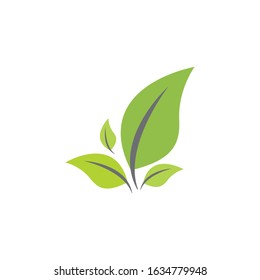 Ecology icon vector design illustration