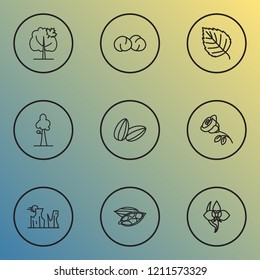 Ecology icons line style set with chickpeas, cardamon, sunflower seeds and other petal elements. Isolated vector illustration ecology icons.