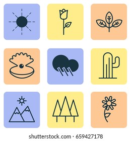 Ecology Icons Set. Collection Of Seashell, Cactus, Sunflower And Other Elements. Also Includes Symbols Such As Sunshine, Valentine, Branch.