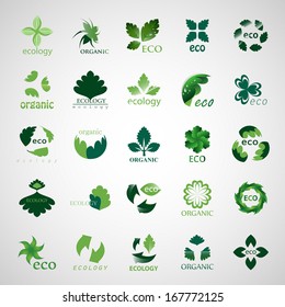 Ecology Leaves Symbols Stock Vector (Royalty Free) 134392898 | Shutterstock