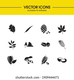 Ecology icons set with pine nut, soy bean and palm leaf elements. Set of ecology icons and marron concept. Editable vector elements for logo app UI design.