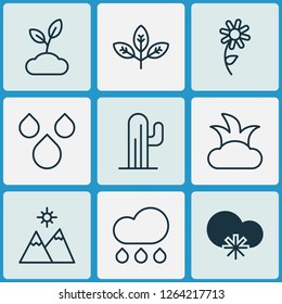 Ecology icons set with snowy weather, shrub, branch and other landscape elements. Isolated vector illustration ecology icons.