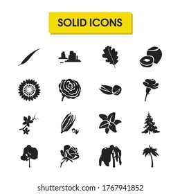 Ecology icons set with willow, rose flower and corn elements. Set of ecology icons and forest concept. Editable vector elements for logo app UI design.