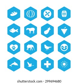 ecology icons universal set for web and mobile