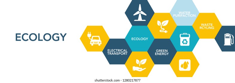 Ecology Infographic Concept