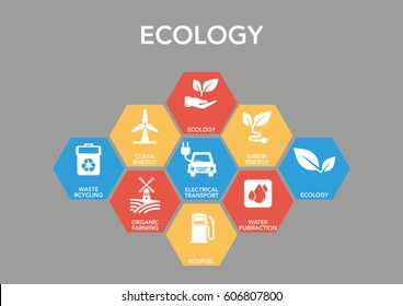 Ecology Infographic Icon Set