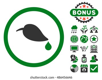Ecology Leaf icon with bonus design elements. Vector illustration style is flat iconic bicolor symbols, green and gray colors, white background.