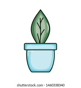 ecology leaf plant in ceramic pot