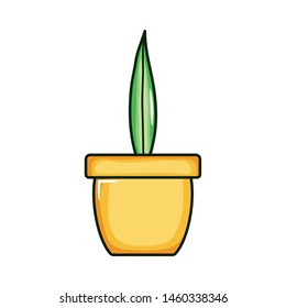 ecology leaf plant in ceramic pot