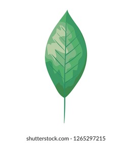 ecology leaf plant icon